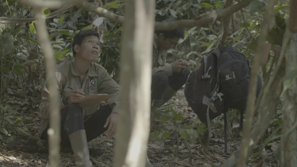 Nyaru Orangutan, Jungle School Still